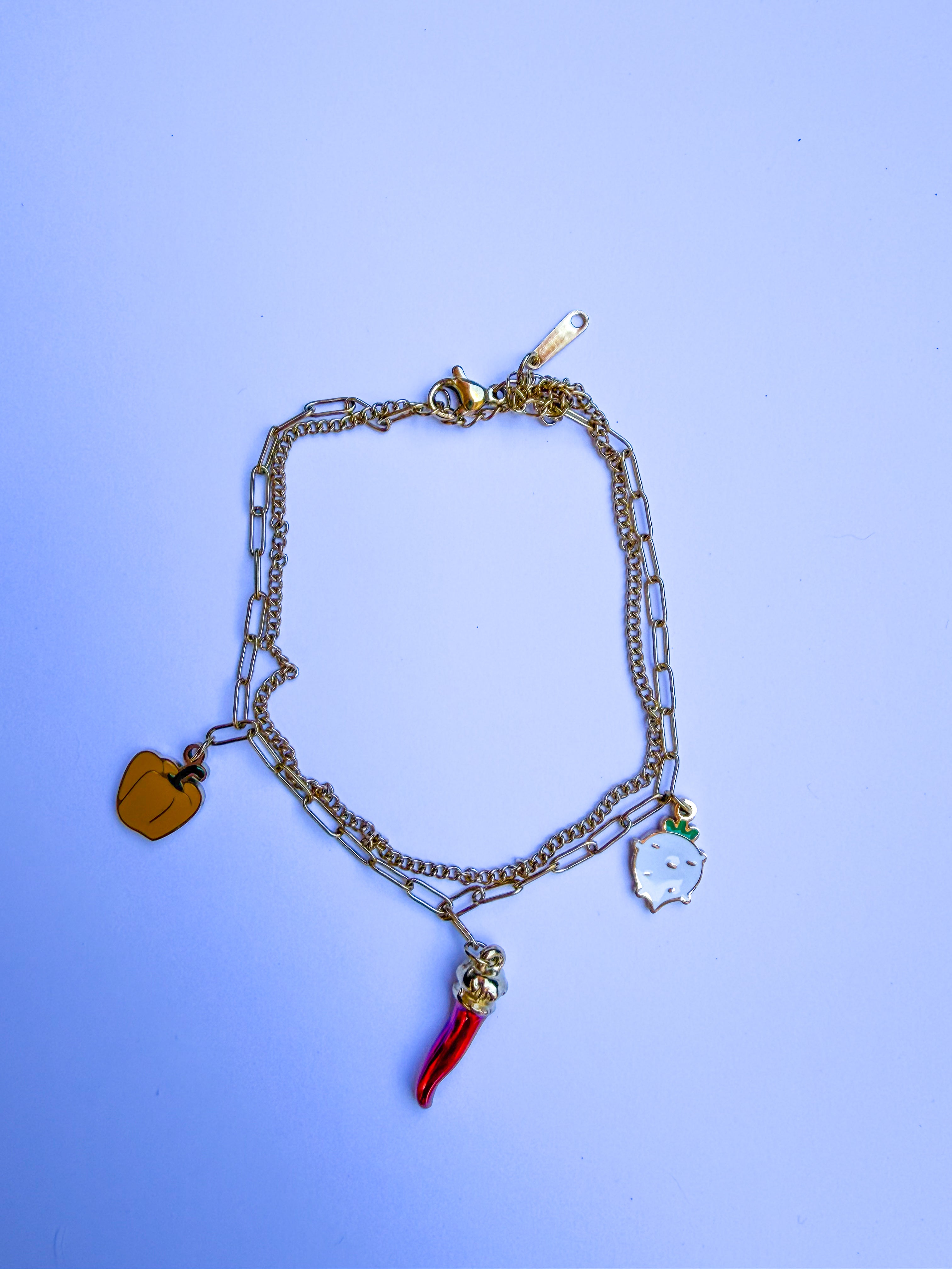 Pulseira para Pé Malagueta em Aço Inoxidável
