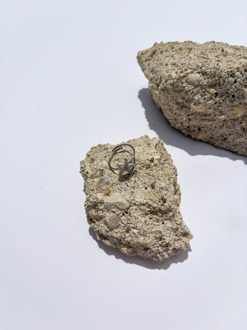 Anel Estrela-do-Mar com Zircónias em Aço Inoxidável