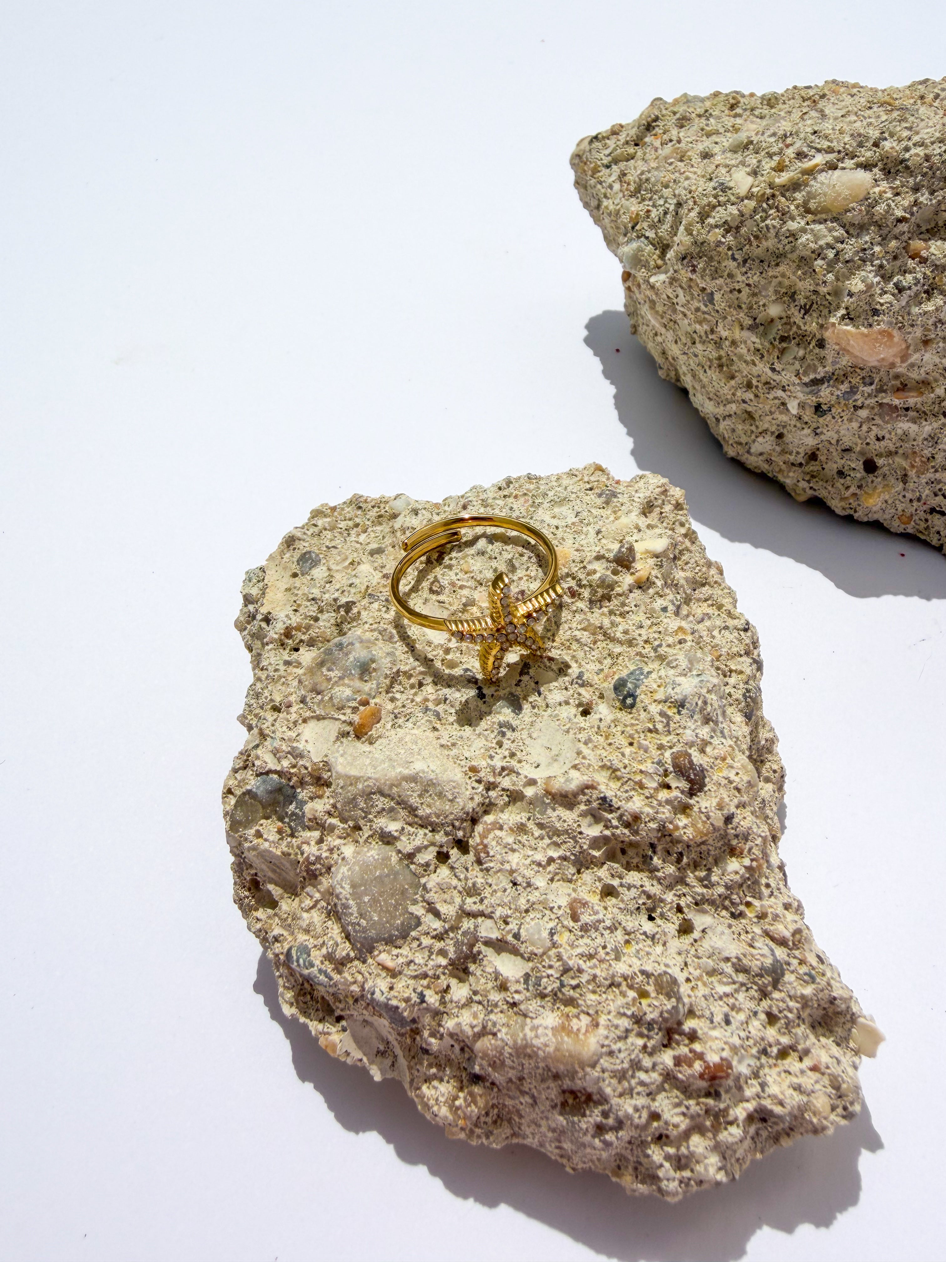 Anel Estrela-do-Mar com Brilhantes em Aço Inoxidável