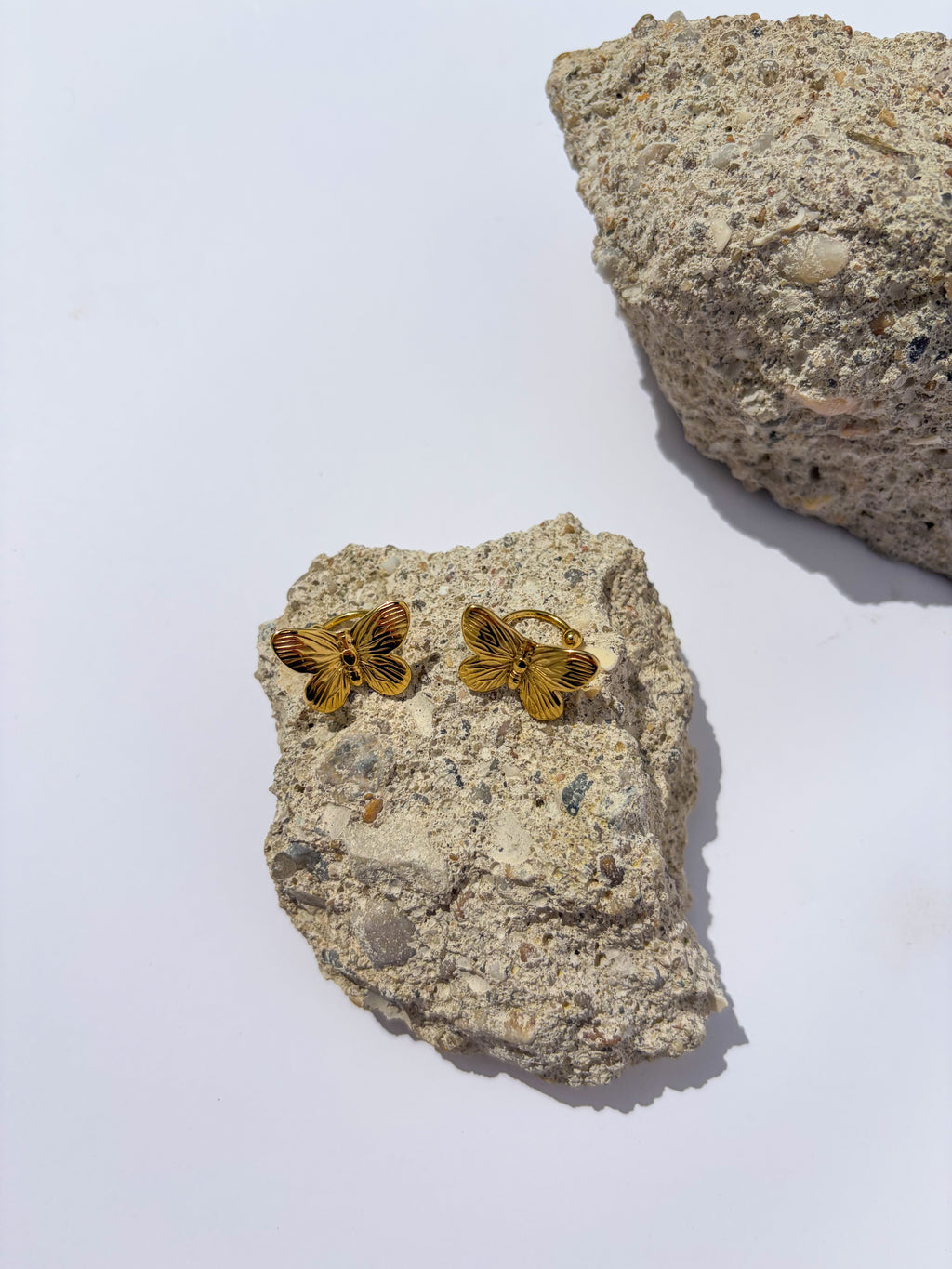 Brincos Borboleta Pousada em Aço Inoxidável