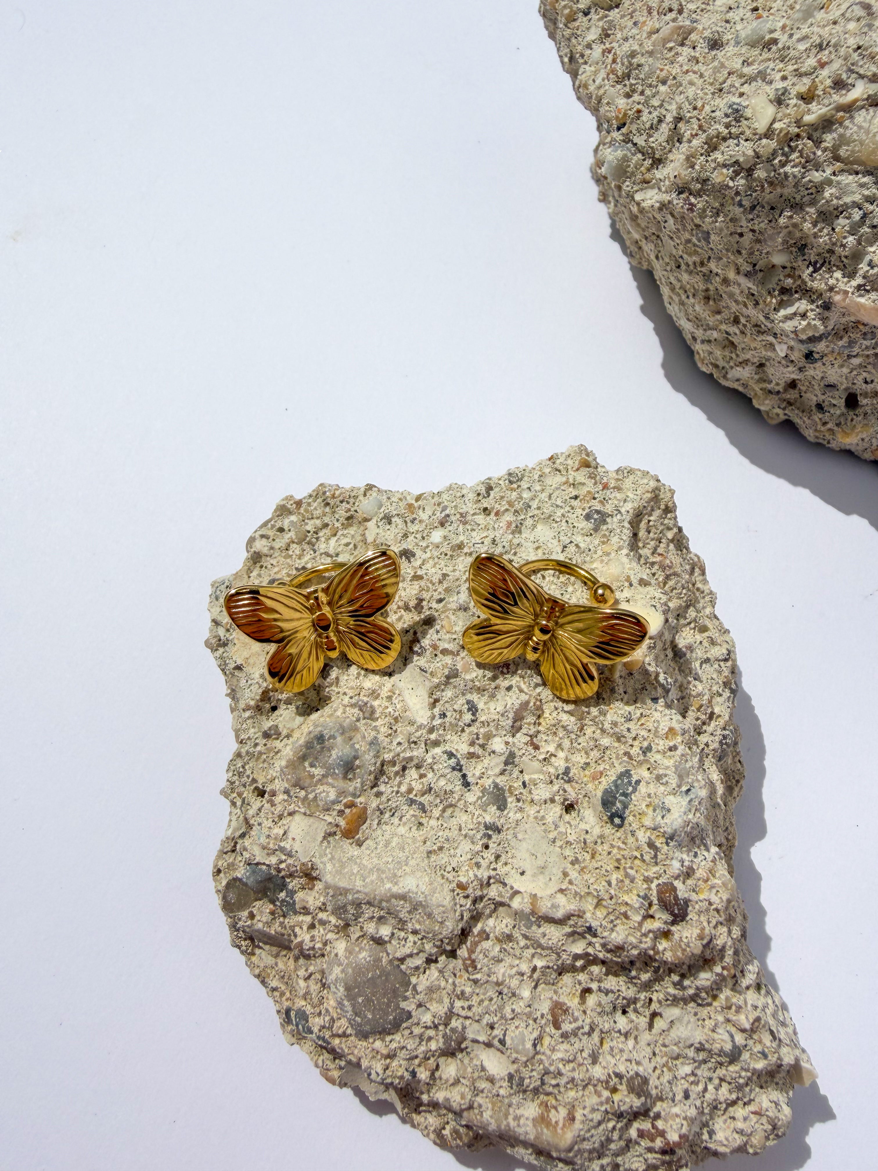 Brincos Borboleta Pousada em Aço Inoxidável