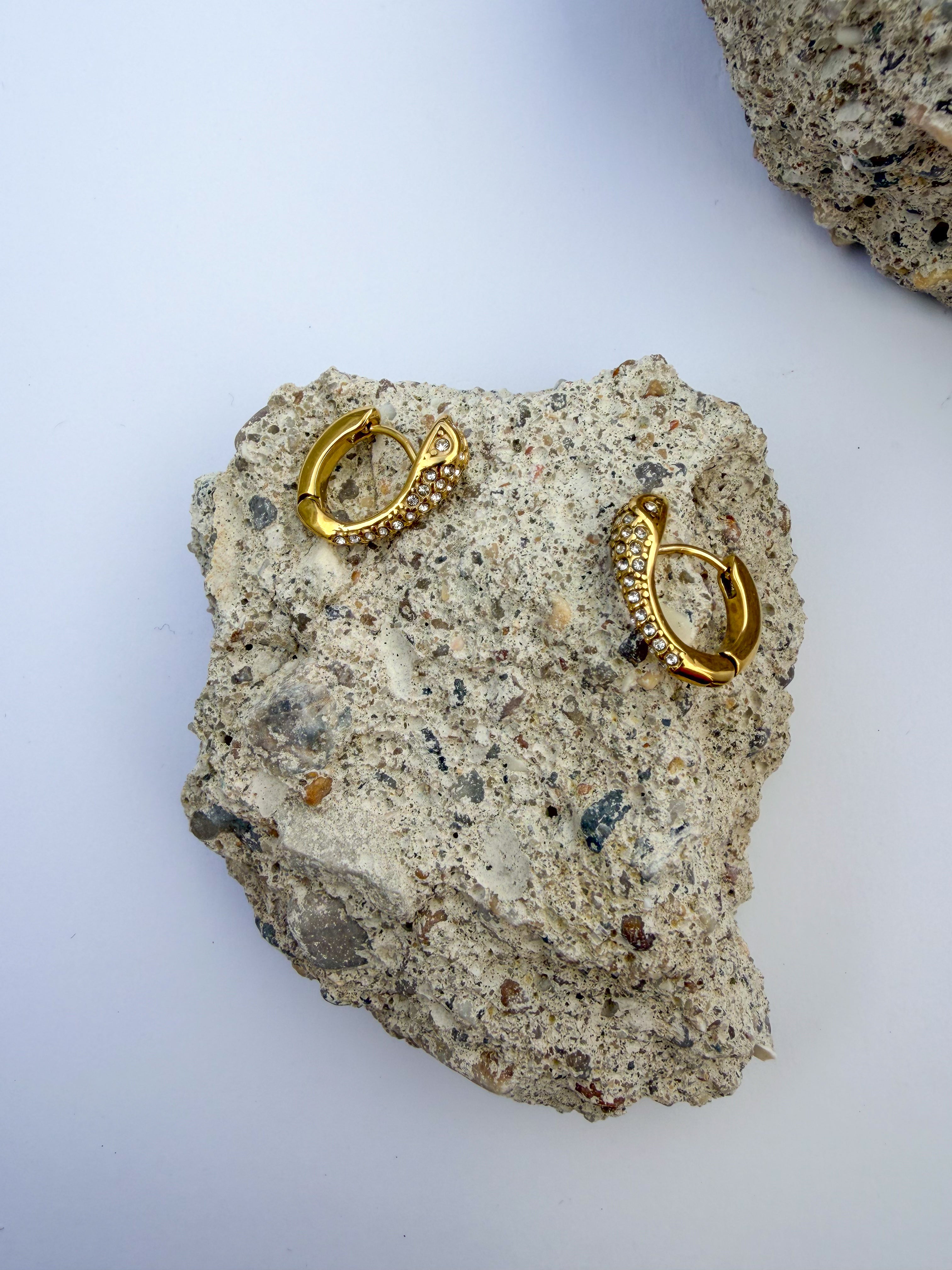 Argola Brilho Serpente em Aço Inoxidável